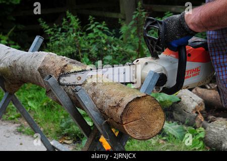 Das Schneiden von Baumstämmen in Bereitschaft für den Winter. Stockfoto