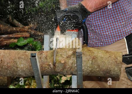 Das Schneiden von Baumstämmen in Bereitschaft für den Winter. Stockfoto