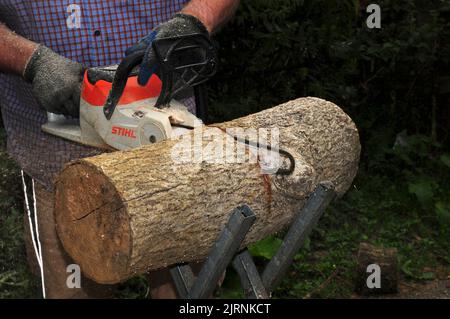 Das Schneiden von Baumstämmen in Bereitschaft für den Winter. Stockfoto