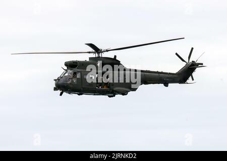 Eastbourne, East Sussex, Großbritannien. Mit dem RAF Puma auf der jährlichen Eastbourne Airshow vom Strand in Eastbourne aus gesehen. 21.. August 2022. Credit David Smith/Alamy Live News Stockfoto