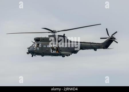 Eastbourne, East Sussex, Großbritannien. Mit dem RAF Puma auf der jährlichen Eastbourne Airshow vom Strand in Eastbourne aus gesehen. 21.. August 2022. Credit David Smith/Alamy Live News Stockfoto