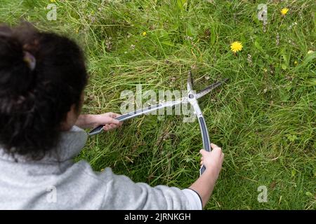 Junge Frau, die Handscheren verwendet, um eine kleine Fläche von Gras zu schneiden, die den ganzen Sommer lang für Wildtiere wachsen durfte - Großbritannien Stockfoto