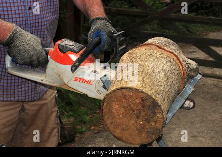 Das Schneiden von Baumstämmen in Bereitschaft für den Winter. Stockfoto