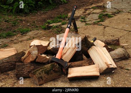Aufteilen von Baumstämmen in Bereitschaft für den Winter. Stockfoto