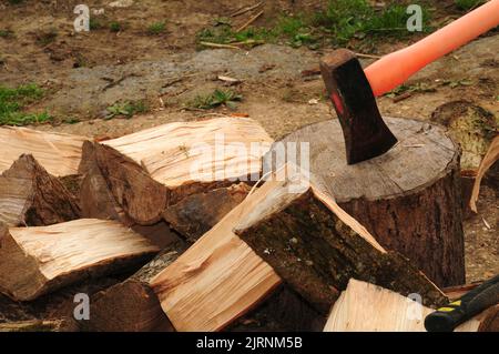 Aufteilen von Baumstämmen in Bereitschaft für den Winter. Stockfoto
