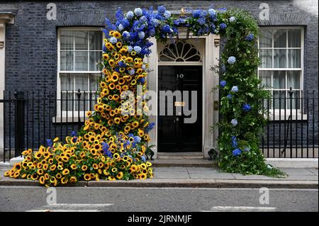 Ein Sonnenblumenbogen schmückte die Downing Street 10, um den Unabhängigkeitstag der Ukraine in Whitehall, London, zu feiern. VEREINIGTES KÖNIGREICH Stockfoto