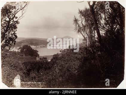 Dunedin aus Silver Acres, Neuseeland, 1880s, Otago, von Burton Brothers, Frank Coxhead. Stockfoto