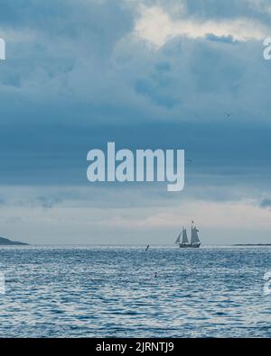 Beverly Harbour Überblickt Schooner & Seagulls Stockfoto