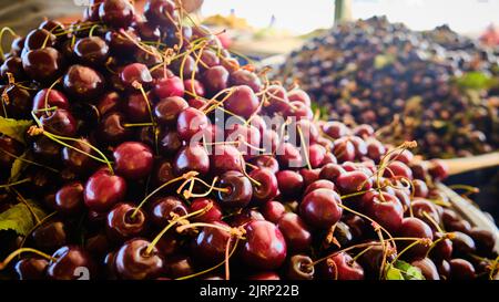 Sauerkirschen häufen sich auf einem Marktstand Stockfoto