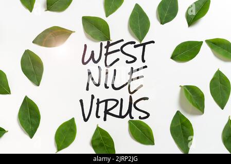 Konzeptunterschrift West Nile Virus. Wort für Virusinfektion Ursache in der Regel von Moskitos Geschäftsmann mit zwei Händen auf der Suche nach wichtigen verbreitet Stockfoto