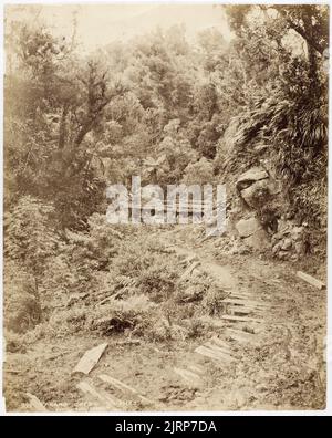 Tararu Creek, Thames, um 1875, Thames, von Burton Brothers. Stockfoto