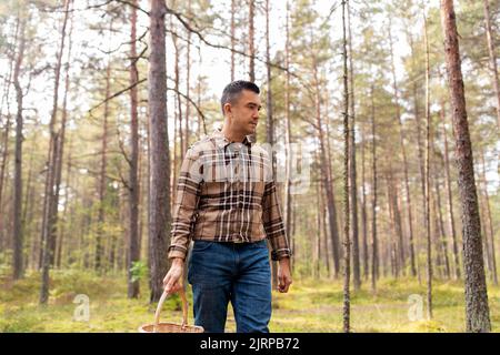 Glücklicher Mann mit Korb Pilze im Wald pflücken Stockfoto