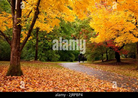 Herbstfarben im VanDusen Botanical Garden - Vancouver BC Stockfoto