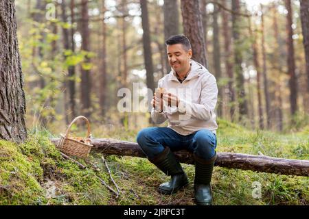 Mann mit Korb, der Pilze im Wald pflückt Stockfoto