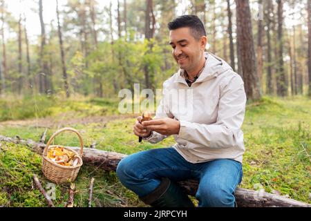 Mann mit Korb, der Pilze im Wald pflückt Stockfoto