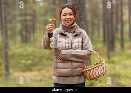Junge Frau Pilze im Herbst Wald Stockfoto