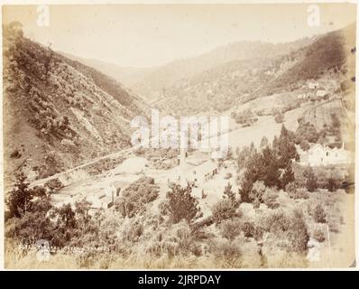 Tararu Creek, Themse. Aus dem Album: Views of New Zealand Scenery, um 1880, Dunedin, von Burton Brothers. Stockfoto