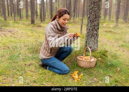 Junge Frau Pilze im Herbst Wald Stockfoto