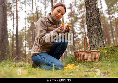 Junge Frau Pilze im Herbst Wald Stockfoto