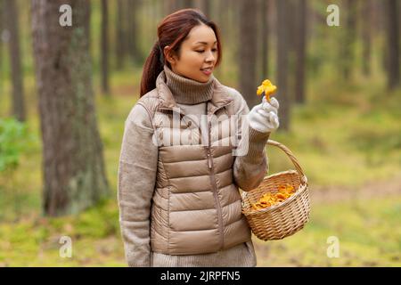 Junge Frau Pilze im Herbst Wald Stockfoto