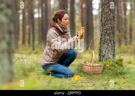 Junge Frau Pilze im Herbst Wald Stockfoto