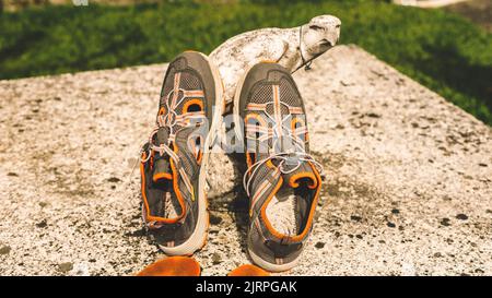calzado deportivo secandose Stockfoto