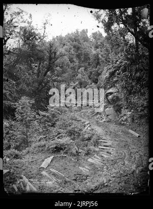 Tararu Creek, Thames, Neuseeland, von Burton Brothers. Stockfoto