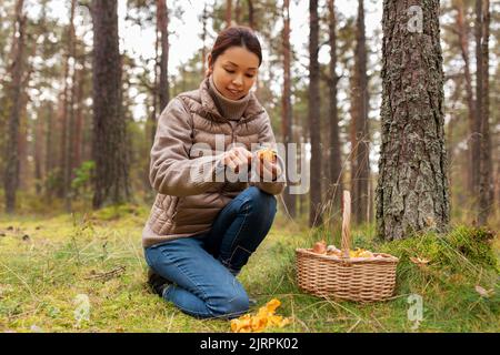 Junge Frau Pilze im Herbst Wald Stockfoto