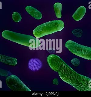 Legionella pneumophila - Medical 3D Illustration Stockfoto