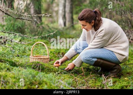 Junge Frau Pilze im Herbst Wald Stockfoto