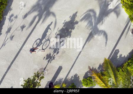 Luftaufnahme des Menschen mit Fahrrad unter Palmen Stockfoto