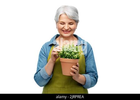 Lächelnde ältere Frau im Gartenschürze mit Blume Stockfoto