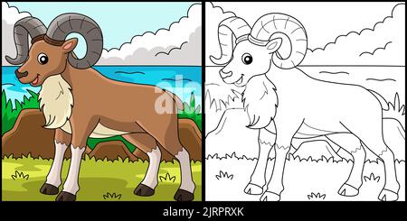 Urial Animal Coloring Page Farbige Illustration Stock Vektor