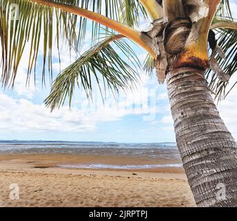 Ein konzeptuelles Bild einer Palme aus der Nähe und des Strandes. Eine tropische Szene, die Ruhe, Frieden, Ruhe, Ruhe, Romantik oder Tagträumen darstellt. Stockfoto