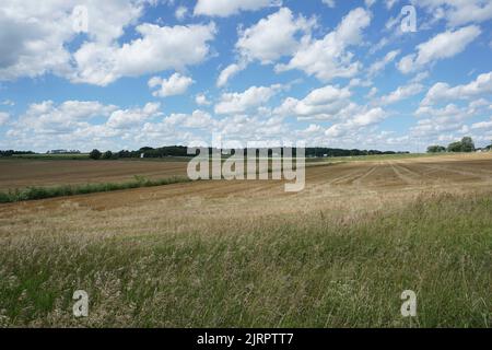 Trailway und Felder am White River State Trail in Burlington, Wisconsin. Stockfoto