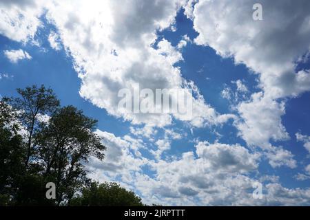 Trailway und Felder am White River State Trail in Burlington, Wisconsin. Stockfoto