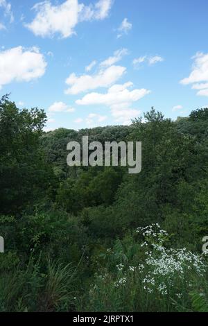 Trailway und Felder am White River State Trail in Burlington, Wisconsin. Stockfoto