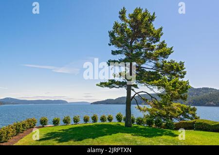 Washington, San Juan Islands, Orcas Island, Rosario Resort & Spa, Blick in Richtung Cascade Bay Stockfoto