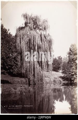 In The Domain - Auckland, um 1887, Auckland, von Burton Brothers. Stockfoto