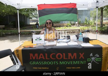 Schwarze vegane Lebensmittelhändler und afroamerikanische Organisationen nehmen am Black VegFest im Commodore Barry Park in Brooklyn, New York, Teil. Frau gibt Literatur von Malcolm X Basisbewegung Organisation. UNIA Black Liberation African American Afro Flag. Stockfoto