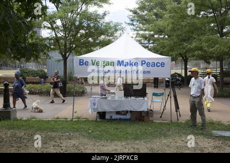 Schwarze vegane Lebensmittelhändler und afroamerikanische Organisationen nehmen am Black VegFest im Commodore Barry Park in Brooklyn, New York, Teil. Stockfoto