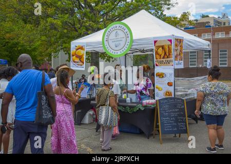 Schwarze vegane Lebensmittelhändler und afroamerikanische Organisationen nehmen am Black VegFest im Commodore Barry Park in Brooklyn, New York, Teil. Die Leute stehen beim Festival für Vegan Soul Food an. Stockfoto