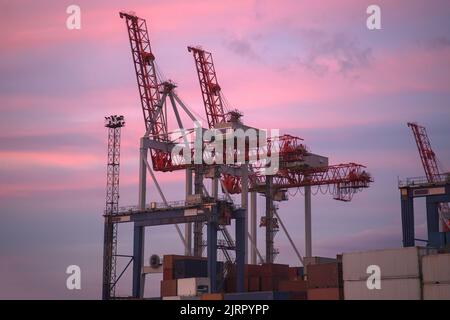 Industriehafen mit Containern. Stapel von Containern im Hafen am Terminal. Anlegekrane Stockfoto