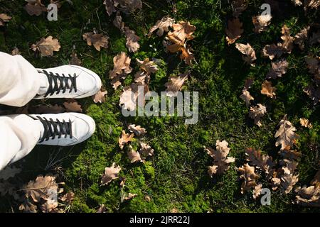 Füße in weißen Sneakers auf grünem Gras mit herbstlichen Eichenblättern. Ansicht von oben. Platz kopieren. Stockfoto