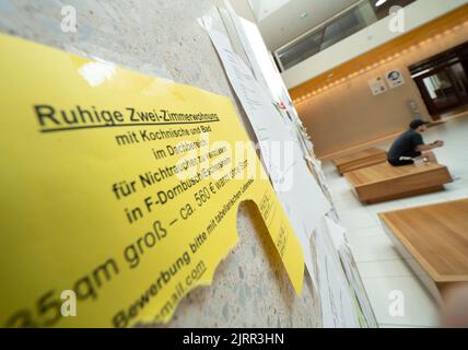 25. August 2022, Hessen, Frankfurt/Main: Eine Studentin sitzt vor einer Wand mit einer Wohnungsanzeige in der Bildungsabteilung der Goethe-Universität Frankfurt. Die derzeit hohen Lebenshaltungskosten treffen Studenten aus ärmeren Familien oder alleinerziehenden Eltern besonders hart. Viele arbeiten mehr an der Seite - auf Kosten ihres Studiums. Foto: Frank Rumpenhorst/dpa Stockfoto