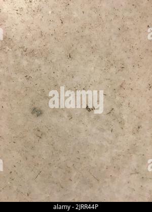 Oberfläche aus Natursteingranit mit gesprenkelter mineralischer Textur Stockfoto