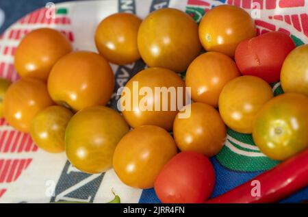 „Sungold F1“-Tomate, Tomate (Solanum lycopersicum) Stockfoto