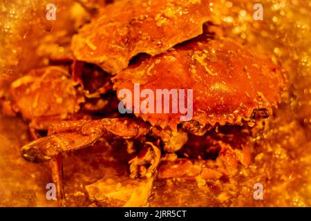 Chili Crab, berühmtes südostasiatisches Fischgericht, das aus Singapur im Jahr 1960s stammt. Stockfoto