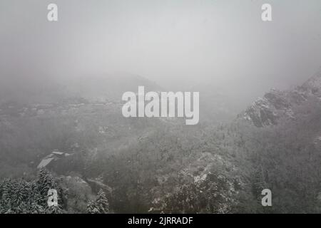 Luftige neblige Landschaft mit Bergklippen bedeckt mit frischem Schnee während heftigem Schneefall im Winter Bergwald an kalten, ruhigen Tag Stockfoto