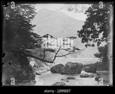 Rees Valley, Head of Lake Wakatipu, 1883, Neuseeland, von Burton Brothers. Stockfoto